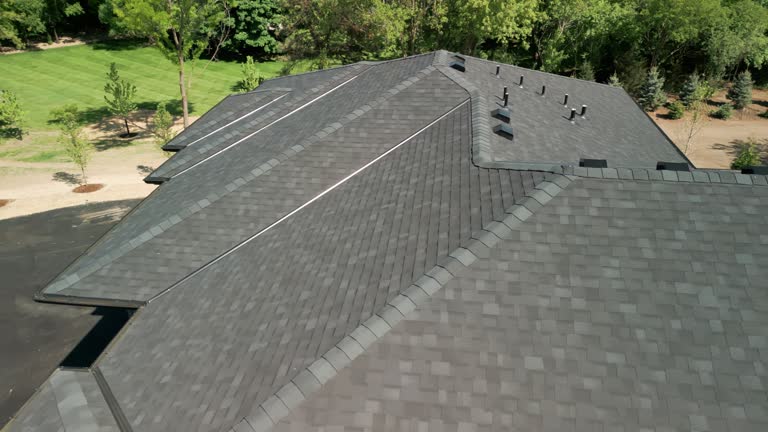 Best Steel Roofing  in Schler Park, IL